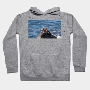 Point Dume State Beach Hoodie